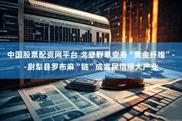 中国股票配资网平台 戈壁野草变身“黄金纤维”--尉犁县罗布麻“链”成富民增绿大产业