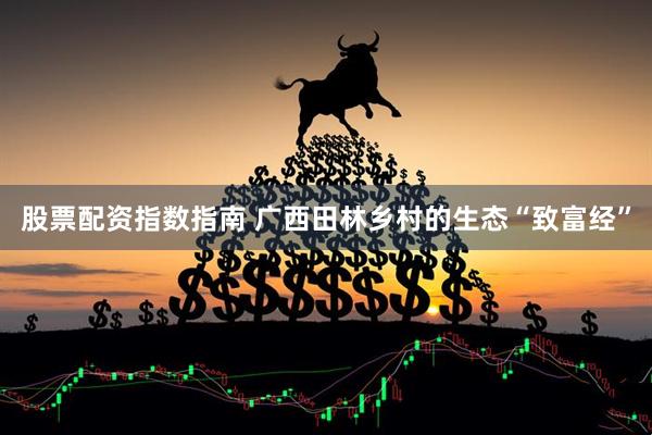 股票配资指数指南 广西田林乡村的生态“致富经”