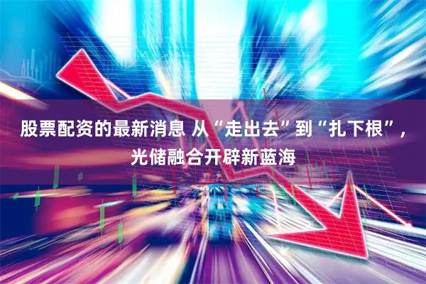 股票配资的最新消息 从“走出去”到“扎下根”，光储融合开辟新蓝海